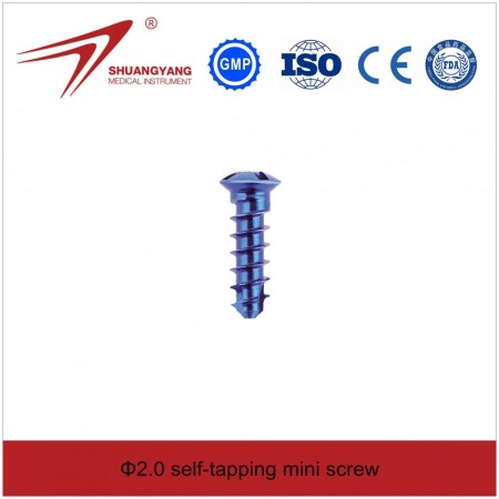 φ2.0 Cross head Screw. ჯვარედინთავიანი ჭანჭიკი, 2.0მმ